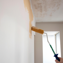Peinture - volets : Protégez et Embellissez Vos Volets avec une Peinture de Qualité Adaptée à Leur Matériau Pamandzi